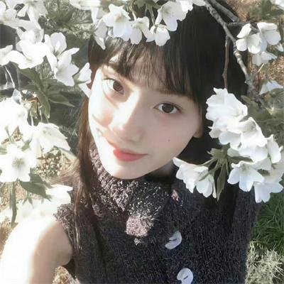 好莱坞以北